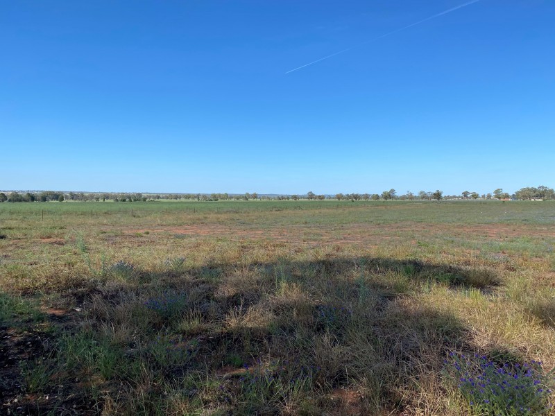 25R Gavel Drive, Dubbo NSW 2830