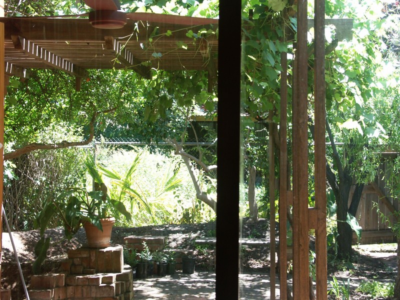 8 Grace Street, Goodwood SA 5034