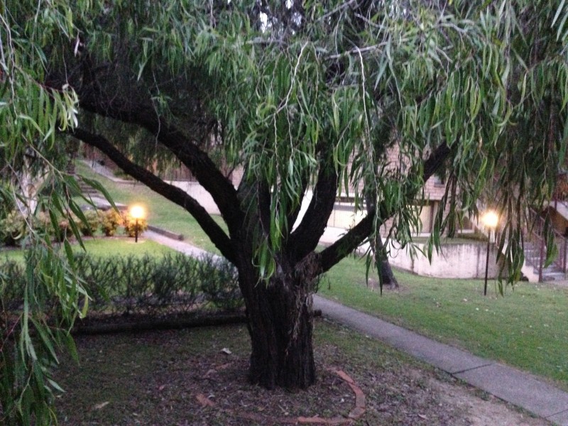 22/126 Crimea Road, Marsfield NSW 2122