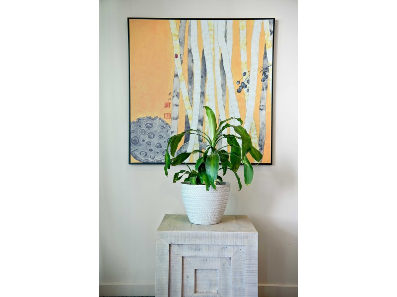 301/2-6 Pilla Avenue, New Port SA 5015