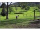 251 Ballard Road, Imbil QLD 4570