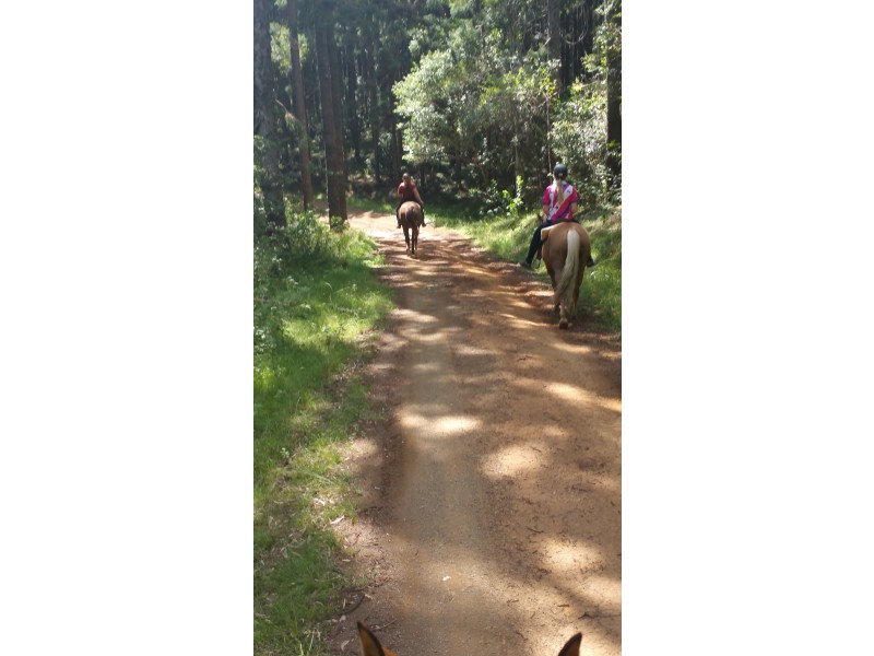 251 Ballard Road, Imbil QLD 4570