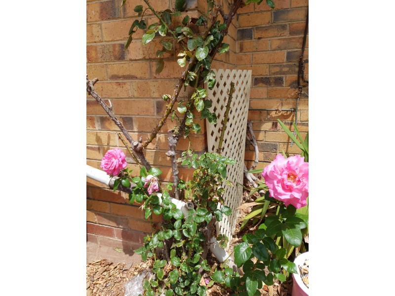 30 Church Street, Werribee VIC 3030