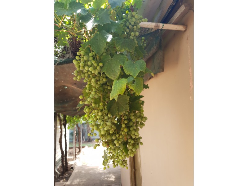 30 Church Street, Werribee VIC 3030