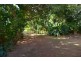11 Martin Street, Freshwater QLD 4870
