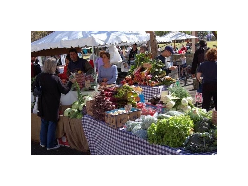 42 Bayswater Road, Rushcutters Bay NSW 2011