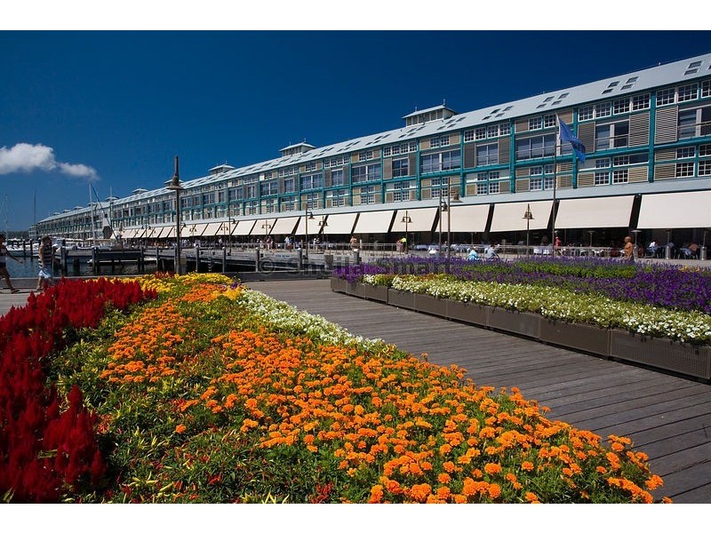 42 Bayswater Road, Rushcutters Bay NSW 2011