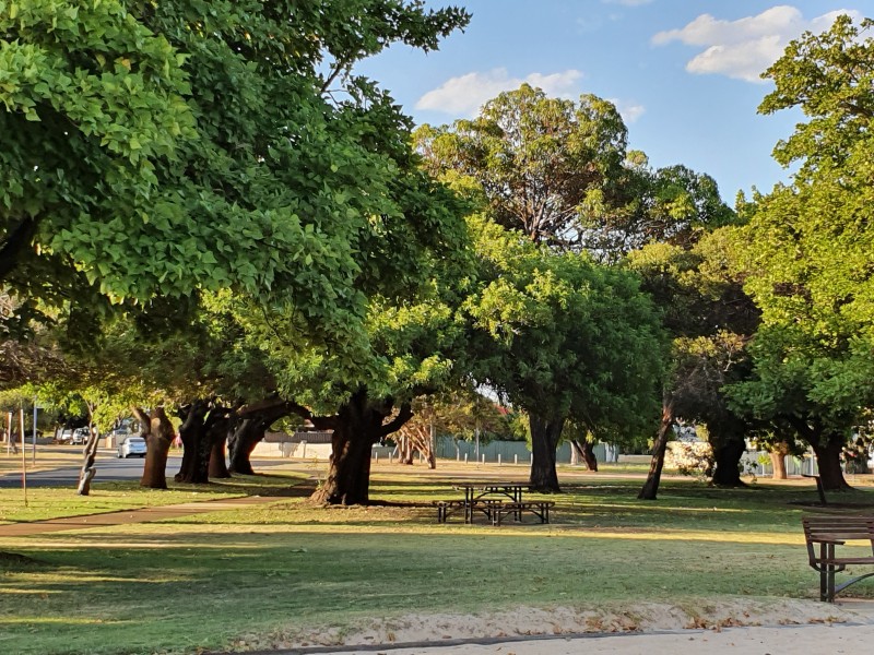 3/10 Wisbey Street, Carey Park WA 6230
