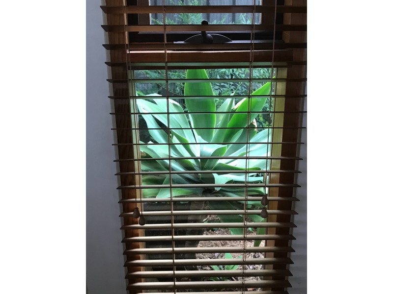 A/6 Edmund Avenue, Unley SA 5061