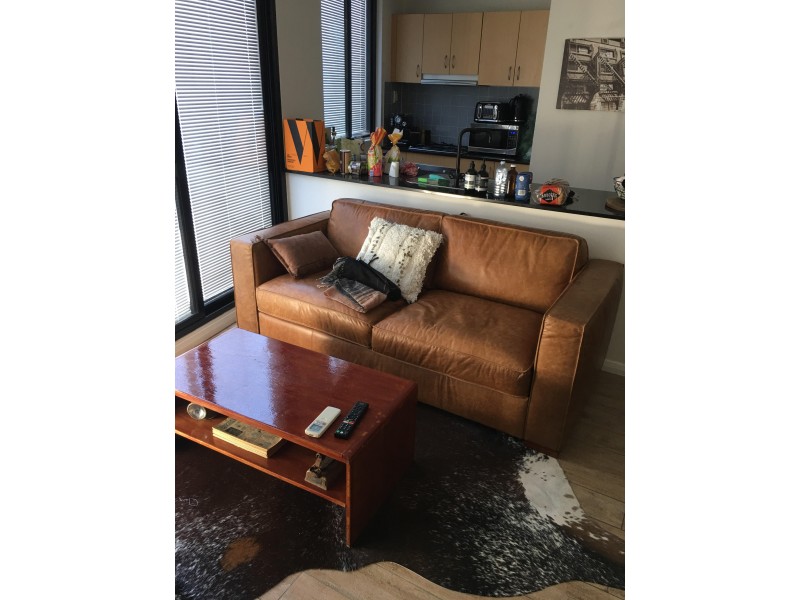 30/52 Regent Street, Chippendale NSW 2008