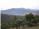 199 Cockerills Road, Boyer TAS 7140
