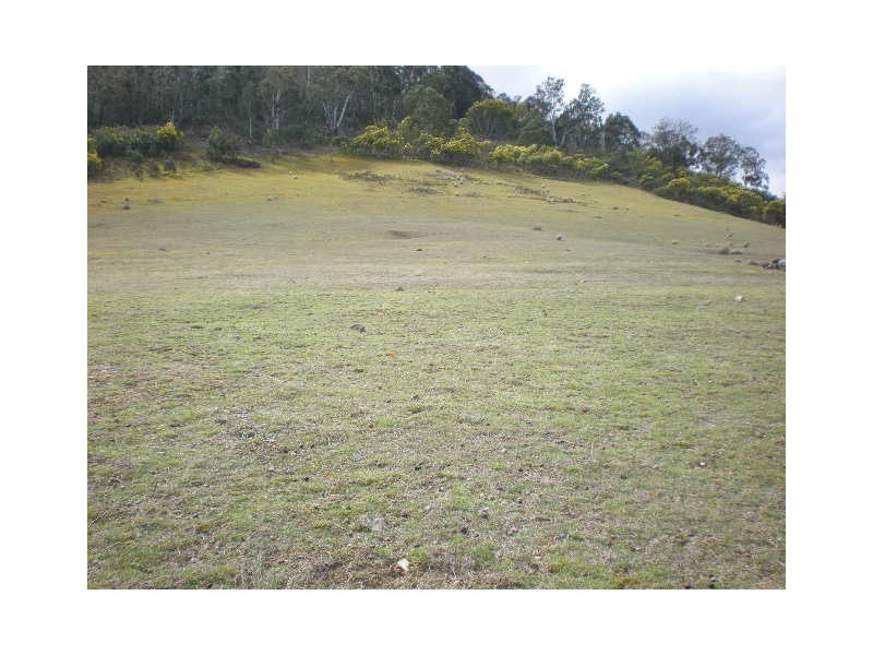 199 Cockerills Road, Boyer TAS 7140