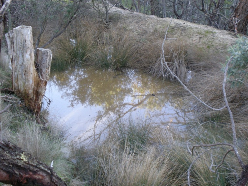 199 Cockerills Road, Boyer TAS 7140