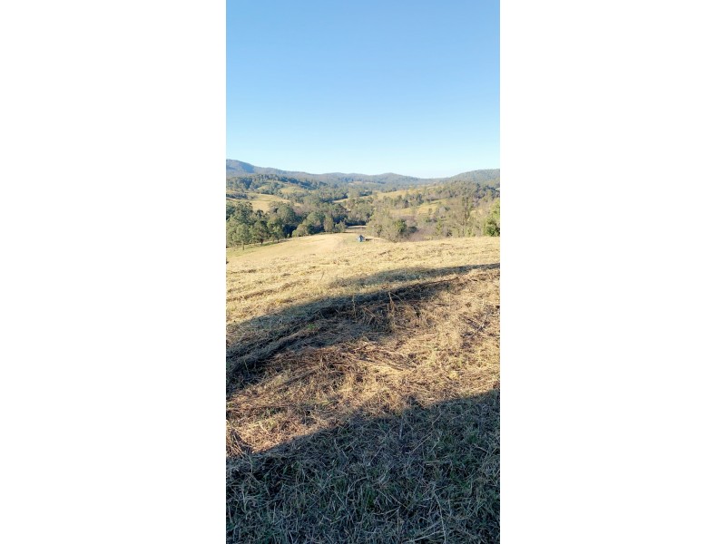 156 Dennis Road, Mungay Creek NSW 2440