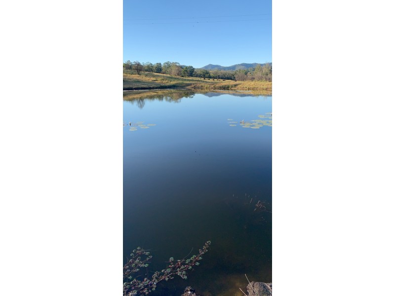 156 Dennis Road, Mungay Creek NSW 2440