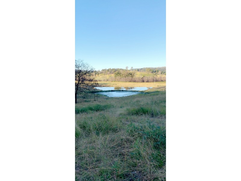 156 Dennis Road, Mungay Creek NSW 2440