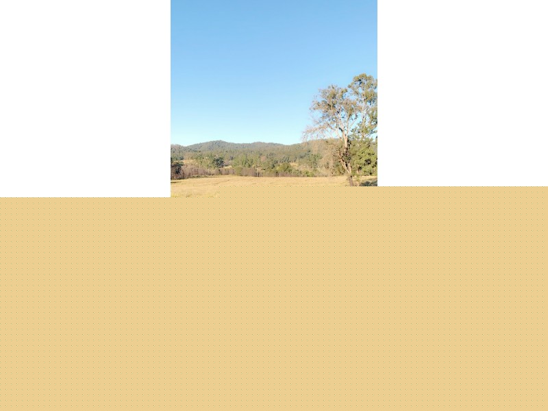 156 Dennis Road, Mungay Creek NSW 2440