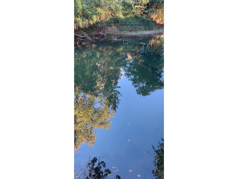 156 Dennis Road, Mungay Creek NSW 2440