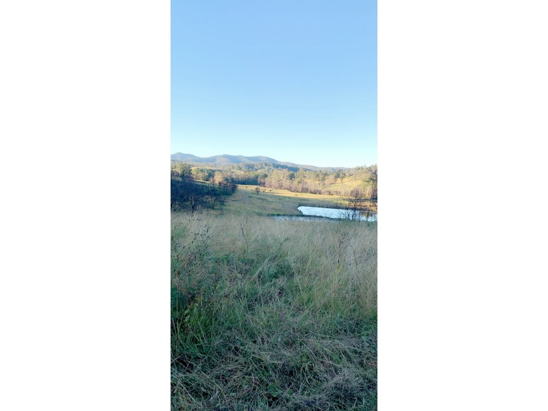 156 Dennis Road, Mungay Creek NSW 2440