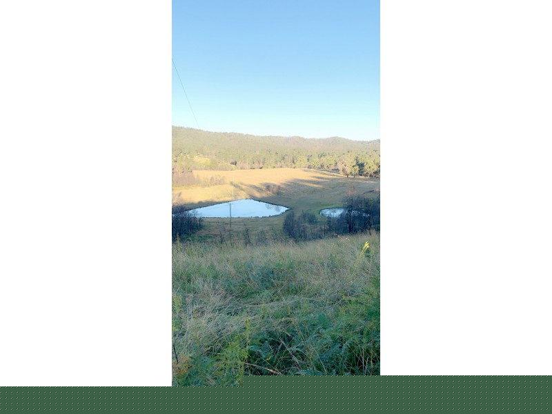 156 Dennis Road, Mungay Creek NSW 2440