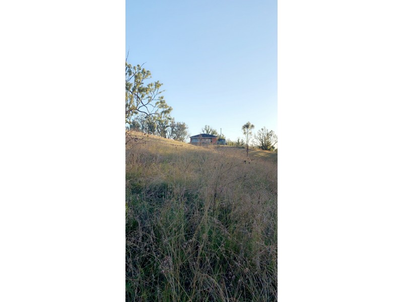 156 Dennis Road, Mungay Creek NSW 2440