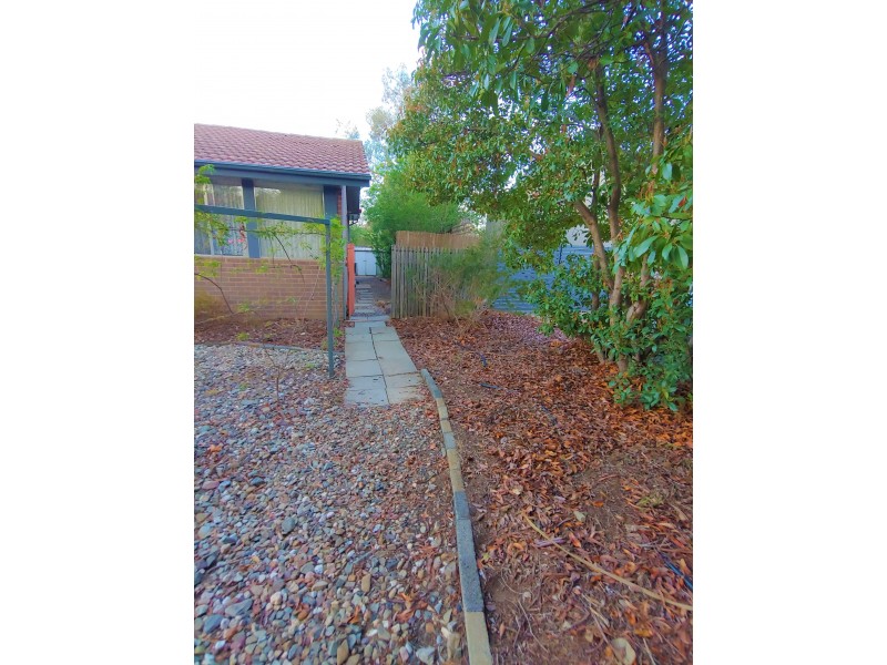 A /38A Findlay Street, Higgins ACT 2615