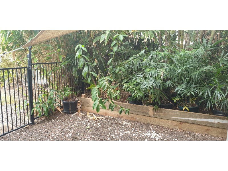 9/2-4 Springfield Crescent, Manoora QLD 4870