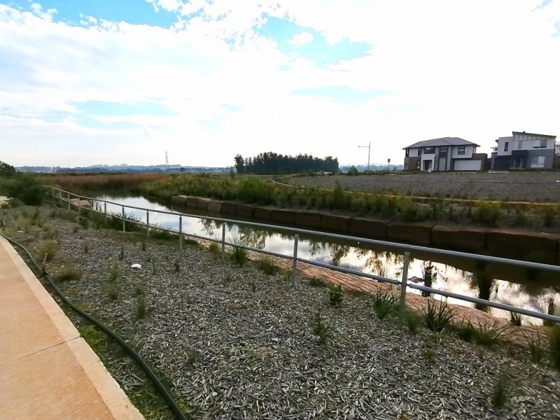 46 Kingsdale Avenue, Catherine Field NSW 2557