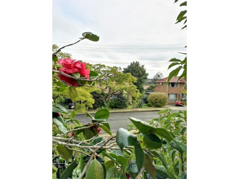 1 Alanas Avenue, Oatlands NSW 2117