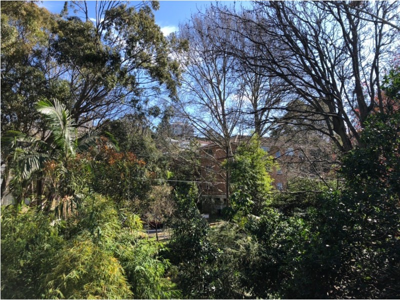 5 Dolphin Street, Randwick NSW 2031