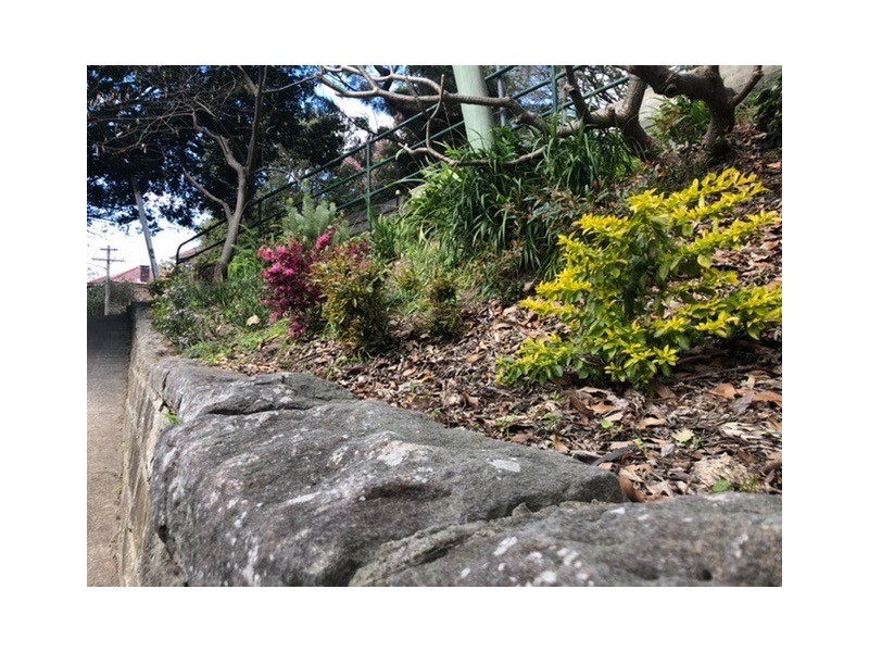 5 Dolphin Street, Randwick NSW 2031