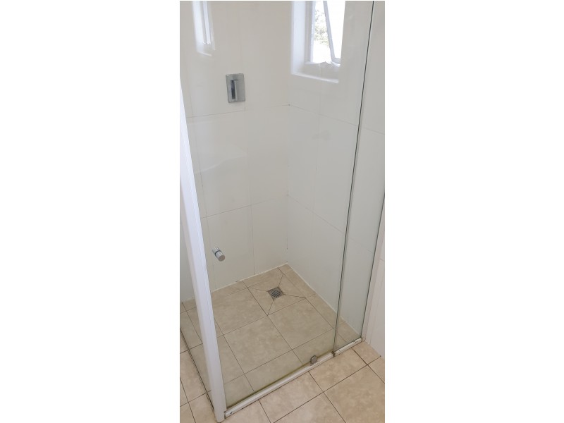 31 Wambool Street, Bulimba QLD 4171