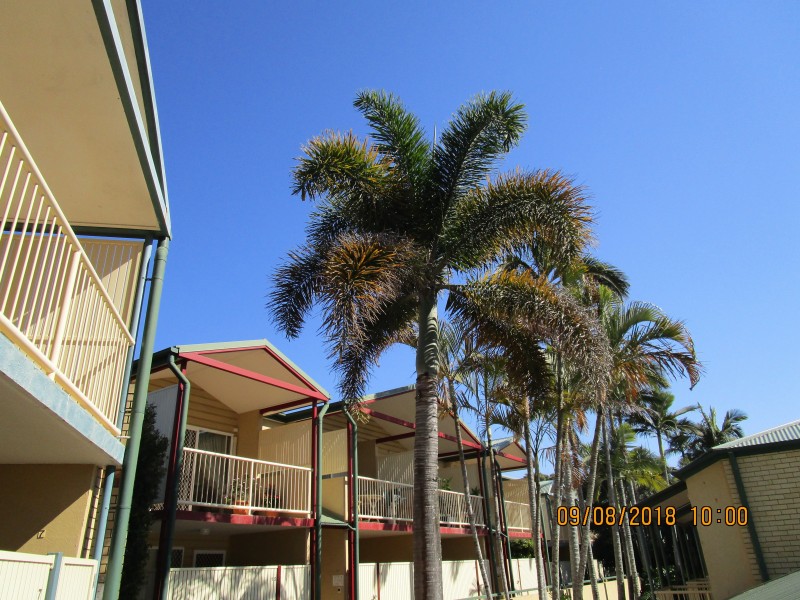 29/33 Lagonda Street, Annerley QLD 4103