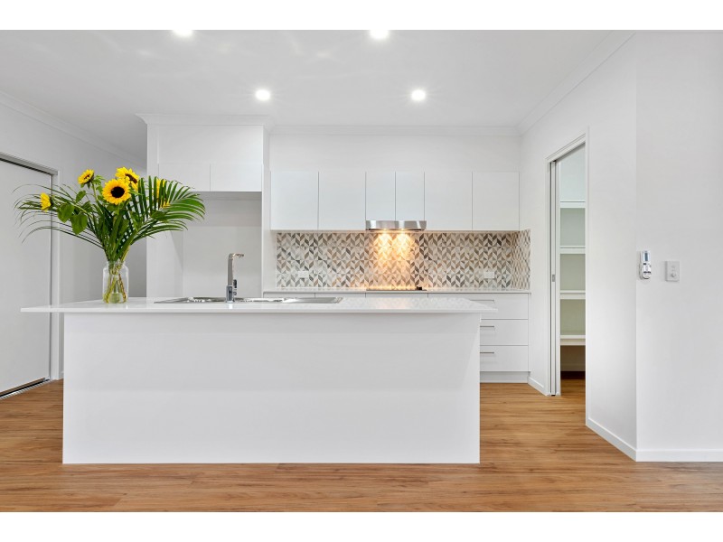 14 Xanadu Place, Mooloolah Valley QLD 4553