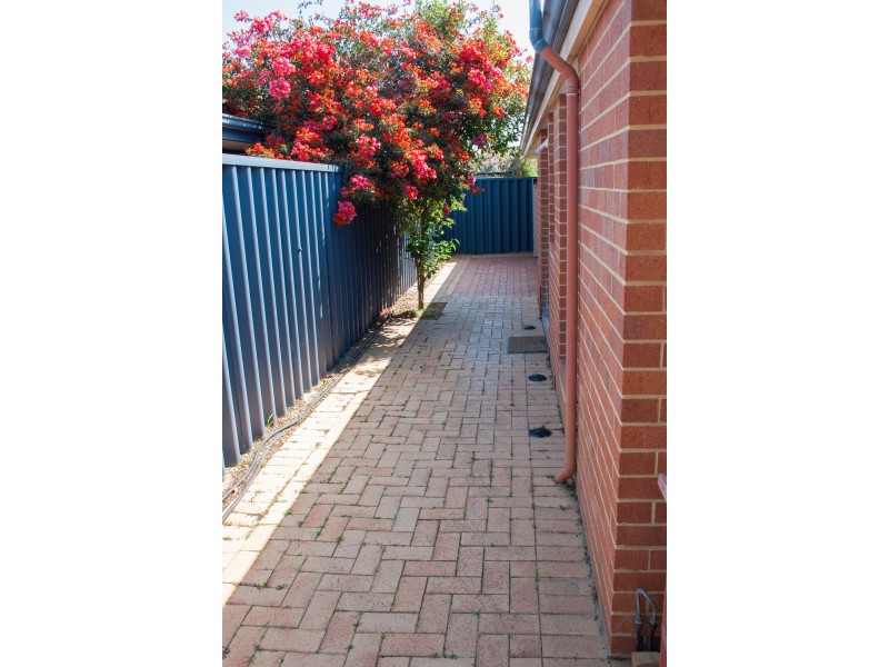 4 Bembridge Loop, Hocking WA 6065