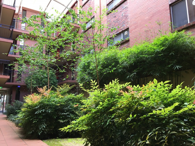 24/212 The Avenue, Parkville VIC 3052