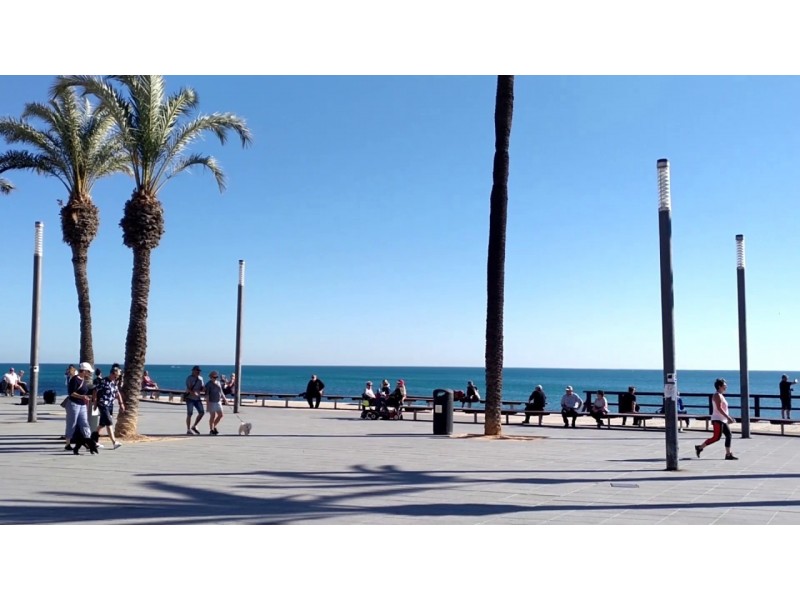 5C/29 Quirk Road, Manly Vale NSW 2093