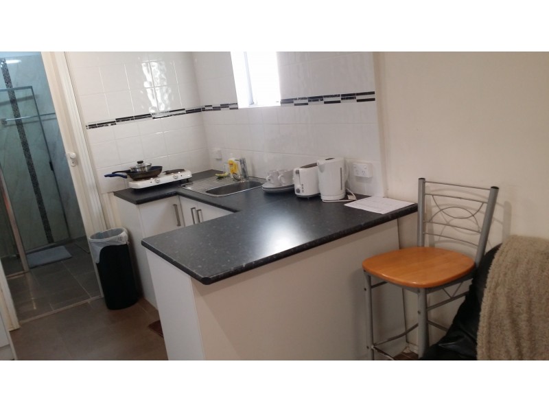 25 Thorn Street, Liverpool NSW 2170
