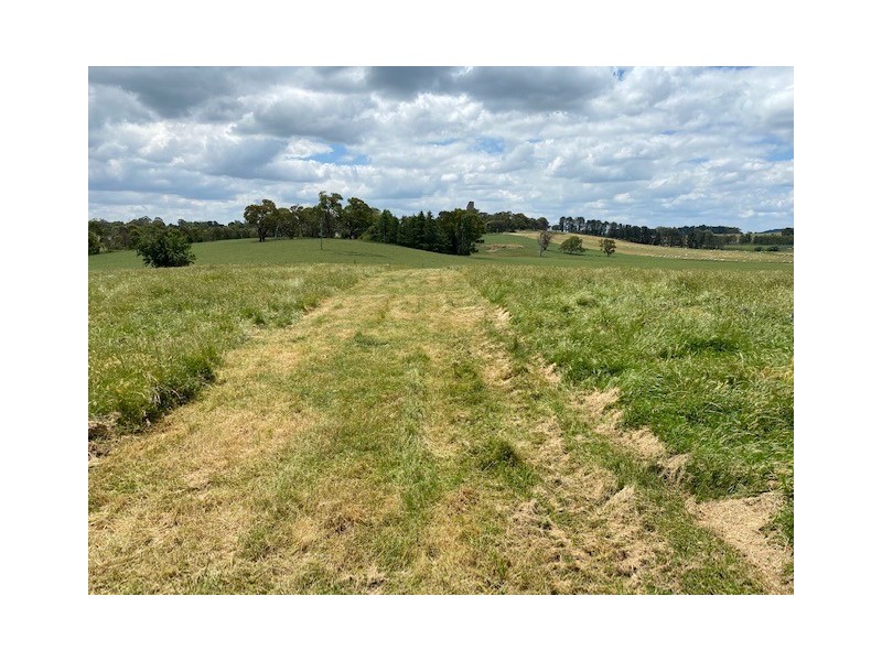 274 Leeds Parade, Orange NSW 2800