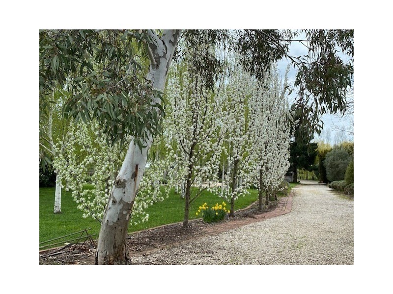 1 Church Parade, Kingston VIC 3364