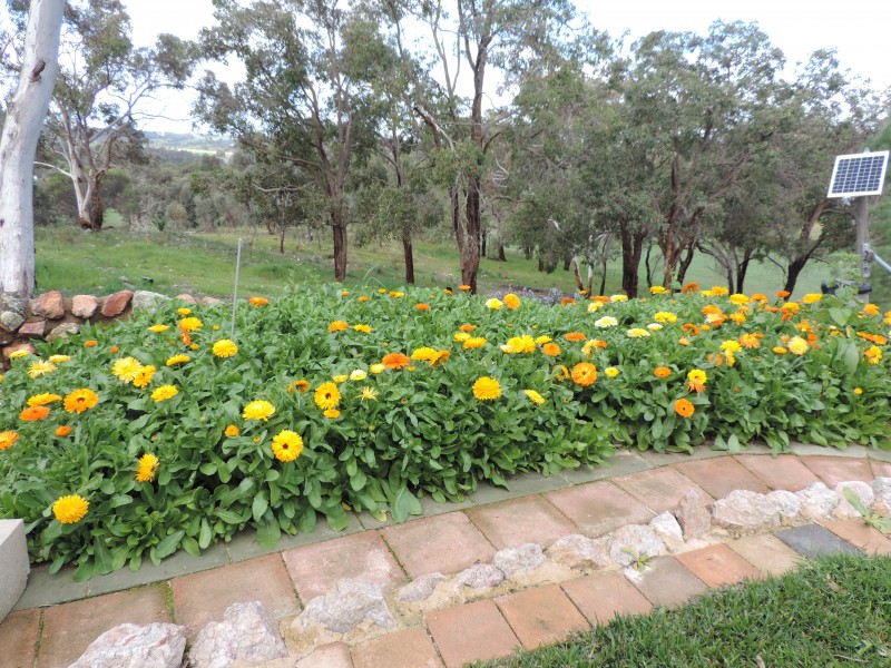 5196 Great Eastern Highway, Clackline WA 6564