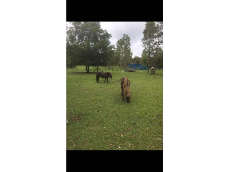 1214 Stockyard Creek Road, Stockyard Creek NSW 2460