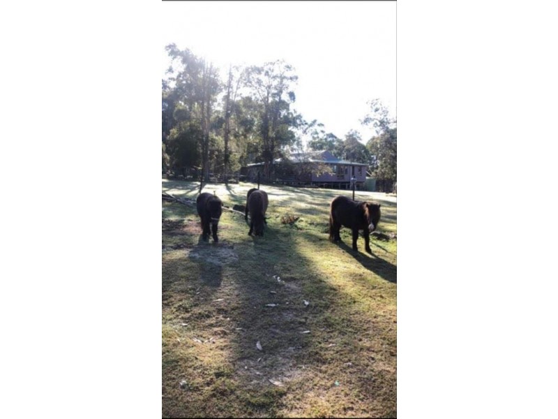 1214 Stockyard Creek Road, Stockyard Creek NSW 2460
