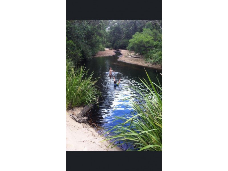 1214 Stockyard Creek Road, Stockyard Creek NSW 2460