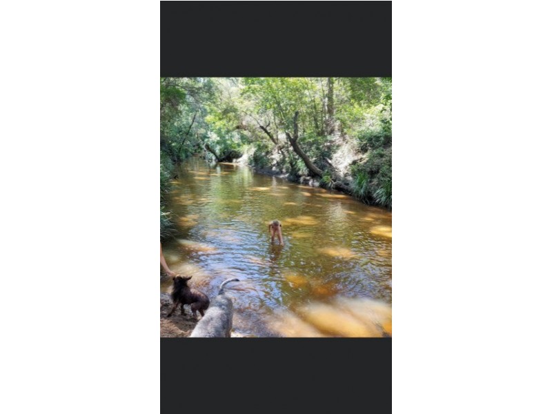 1214 Stockyard Creek Road, Stockyard Creek NSW 2460