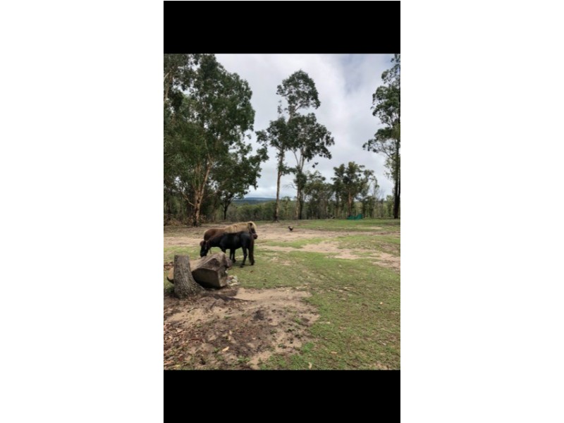 1214 Stockyard Creek Road, Stockyard Creek NSW 2460