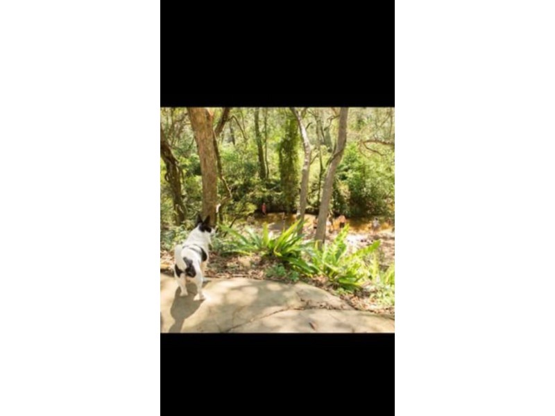 1214 Stockyard Creek Road, Stockyard Creek NSW 2460