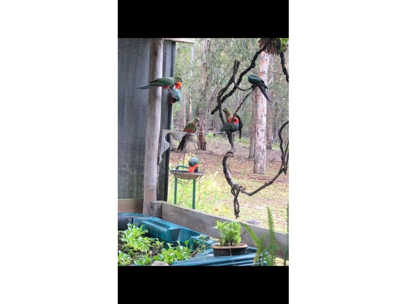 1214 Stockyard Creek Road, Stockyard Creek NSW 2460