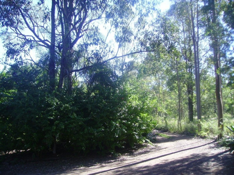 * Boomerang Rd, Tamborine QLD 4270