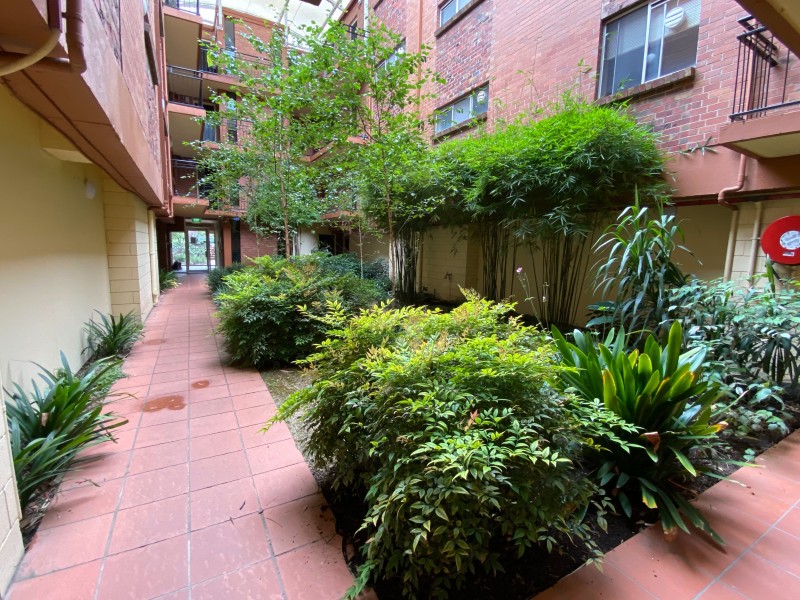 24/212 The Avenue, Parkville VIC 3052